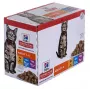HILL'S Feline Adult Multipack Classic - paciņa 12x85g