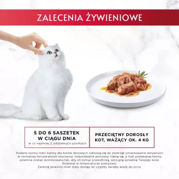 GOURMET Mon Petit Fish Mix - mitrā kaķu barība - 6 x 50 g
