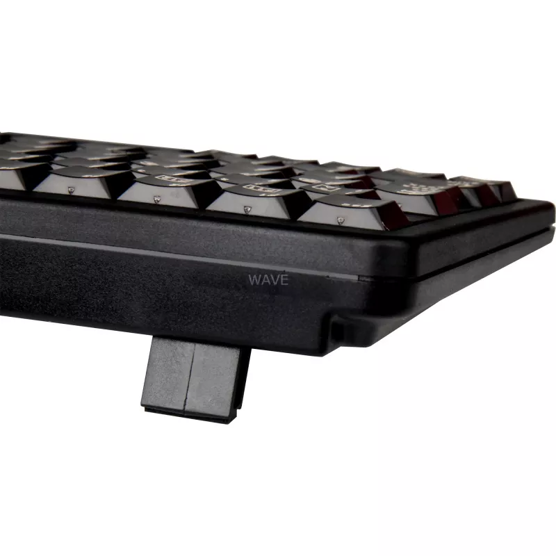 CHERRY G84-4100 tastatūra Universāla USB QWERTZ vācu Melna