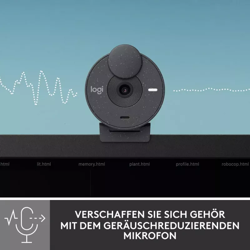 LOGITECH Brio 300 Full HD tīmekļa kamera - grafīts