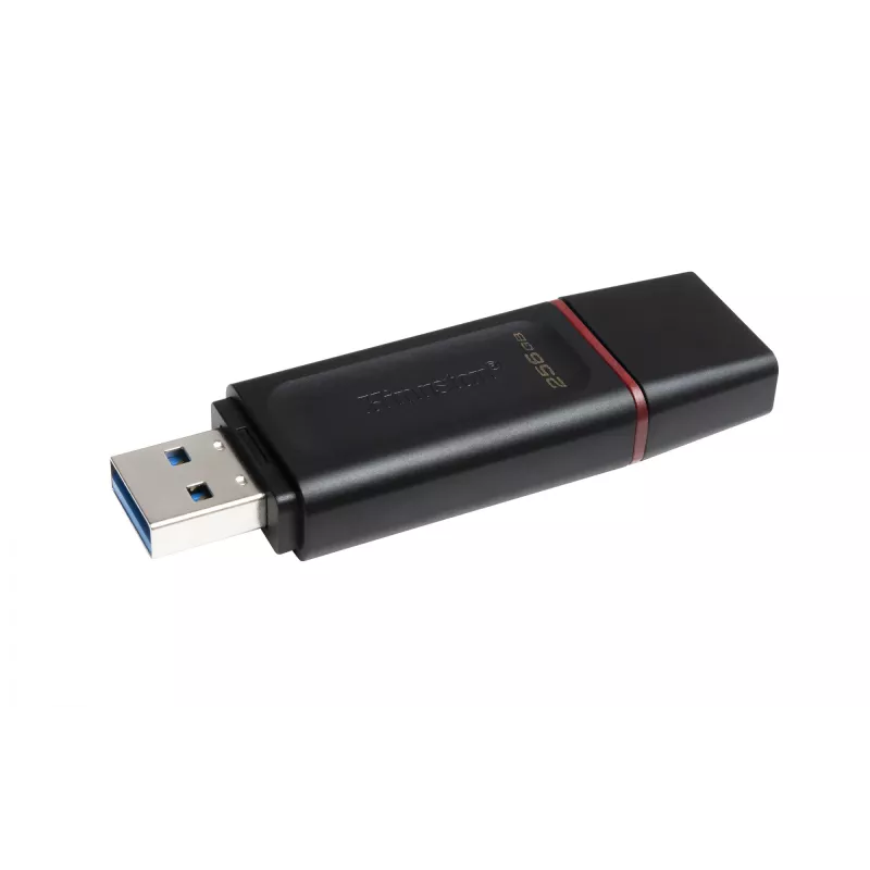 Kingston Technology DataTraveler Exodia - USB 3.2 Flash Drive