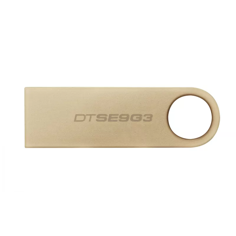 Kingston Technology DataTraveler 256GB 220MB/s metāla USB 3.2 Gen 1 SE9 G3