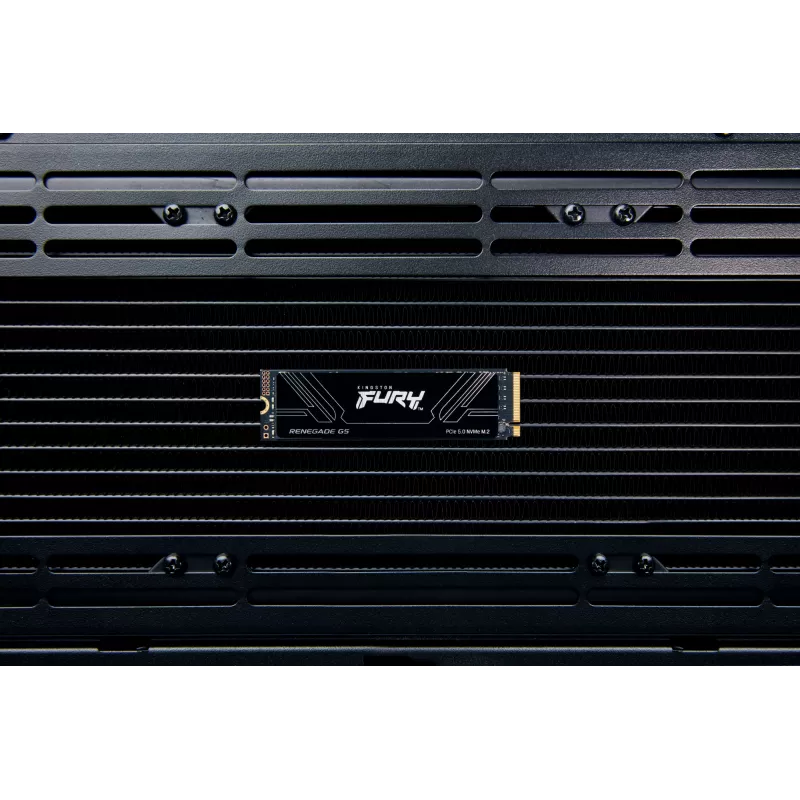 SSD disks Kingston Technology 1T M.2 NVMe FURY RENEGADE G5