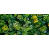 Xerox īstais ® C230 krāsu printera/C235 krāsu daudzfunkciju printera dzeltenā lielas ietilpības tonera kasetne (2500 lpp.) - 006R04394