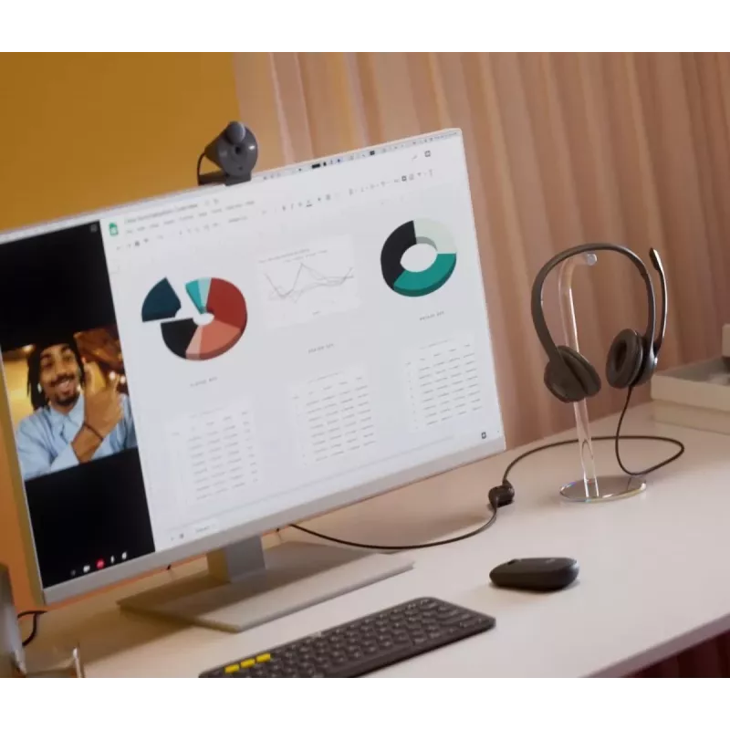 LOGITECH austiņas - H390 - USB-A - melnas
