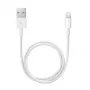 APPLE Lightning uz USB kabelis (0.5 M)