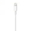 APPLE Lightning uz USB kabelis (0.5 M)