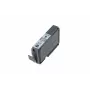 Canon PGI-9GY pelēka tintes kasetne, pelēka, Pigmenta tinte, 1 gab., 145 lapas