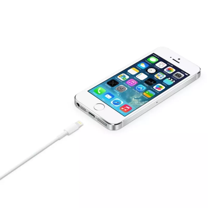 Apple Lightning uz USB kabelis 2 m MD819ZM/A