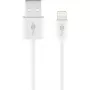 Charging and Sync kabelis GOOBAY Lightning to USB A 1 m, 5W / 1A, balta