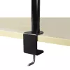 ARCTIC Z1 Basic - Galda stiprinājuma monitora roka, skava, 8 kg, 33 cm (13 collas), 81,3 cm (32 collas), 100 x 100 mm, melna