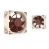 Noctua ventilators NF-A6x25 PWM 60 mm, 12 V, 550–3000 RPM, 29.2 m³/h, 19.3 dB