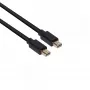 CLUB3D Mini DisplayPort 1.2 HBR2 kabelis M/M 2m/6.56ft 4K60Hz