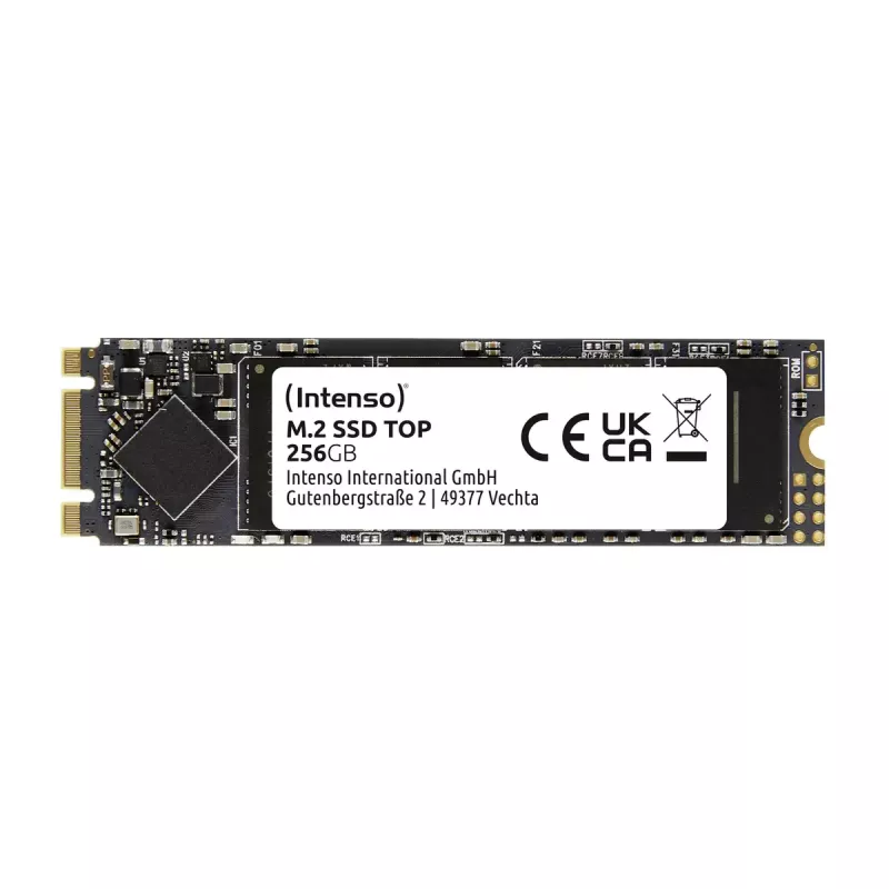 SSD disks Intenso Top 256 GB M.2 Serial ATA III