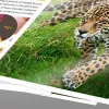 Kasetes Epson C13T02V64010 502 Multipack BK C M Y