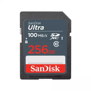 Flash Memory SanDisk 256GB SDXC UHS-I Class 10 SDSDUNR-256G-GN3IN