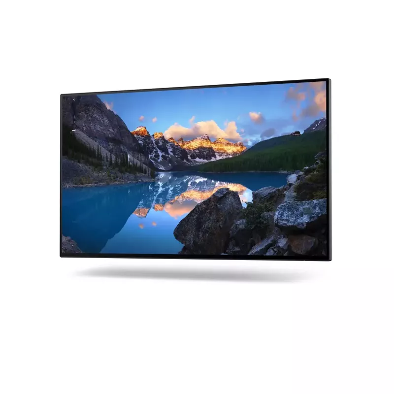 Monitors DELL UltraSharp 24 U2422H 23,8 collu Full HD LCD 1920x1080