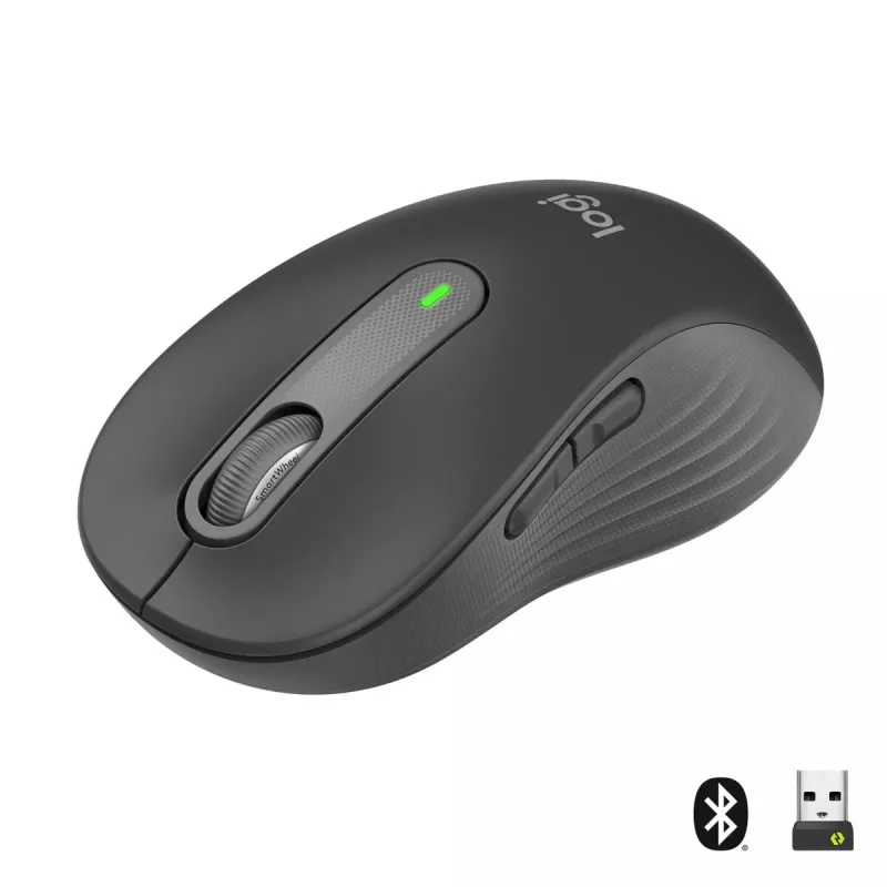 LOGITECH Signature M650 L Bezvadu pele - Lielām rokām - Labā roka - Grafīts