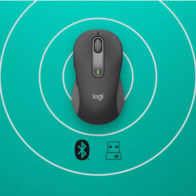 LOGITECH Signature M650 L Bezvadu pele - Lielām rokām - Labā roka - Grafīts