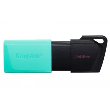 Kingston Technology DataTraveler 256GB USB3.2 Gen1 Exodia M (melna + zilganzaļa)