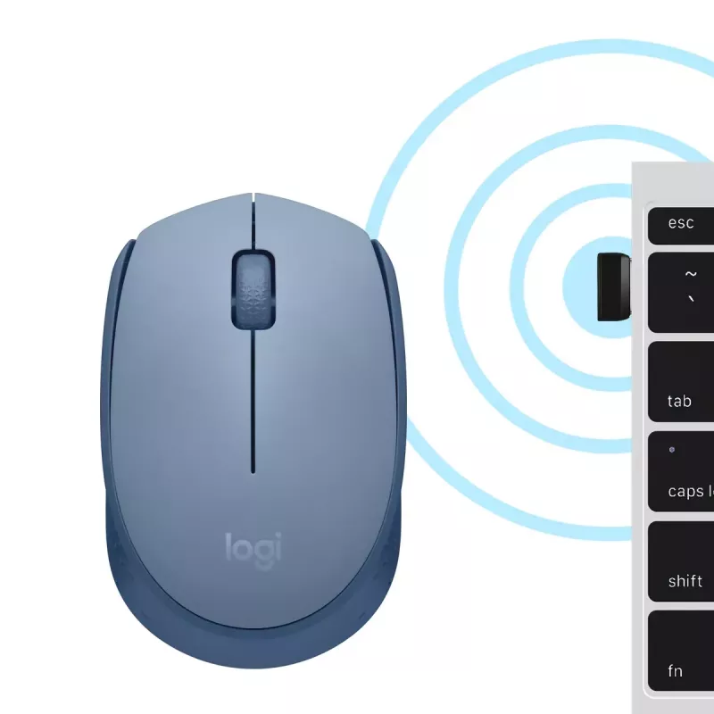 Pele Logitech M171 RF bezvadu optiskā