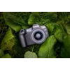 Canon EOS R8 + RF 24-50mm F4.5-6.3 IS STM Kit, 24,2 MP, 6000 x 4000 pikseļi, CMOS, 4K Ultra HD, skārienjūtīgs ekrāns, melns