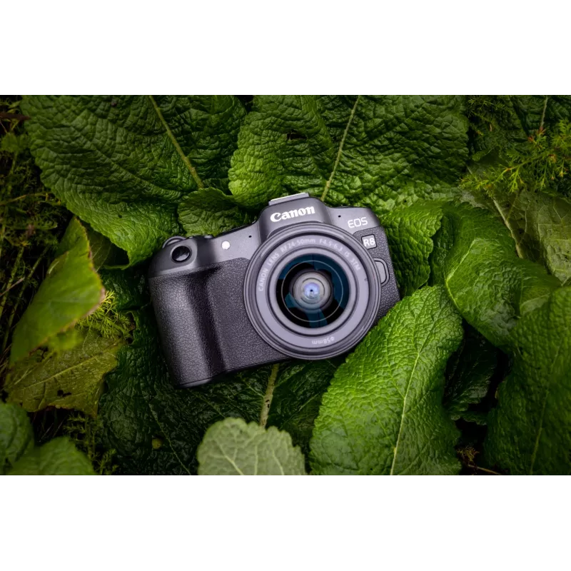 Canon EOS R8 + RF 24-50mm F4.5-6.3 IS STM Kit, 24,2 MP, 6000 x 4000 pikseļi, CMOS, 4K Ultra HD, skārienjūtīgs ekrāns, melns