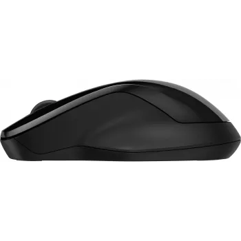 HP 250 Dual Mouse, abpusējs, Bluetooth + USB Type-A, 1600 DPI, melns