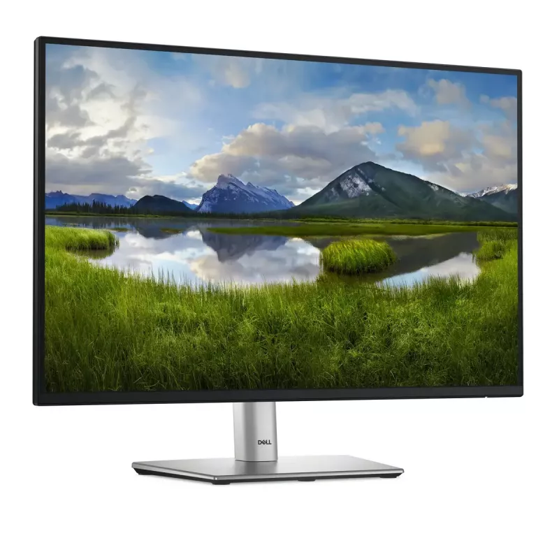 DELL Pro Plus P2425 datora monitors 61,1 cm (24,1 collu) 1920 x 1200 pikseļi WUXGA LCD Melns