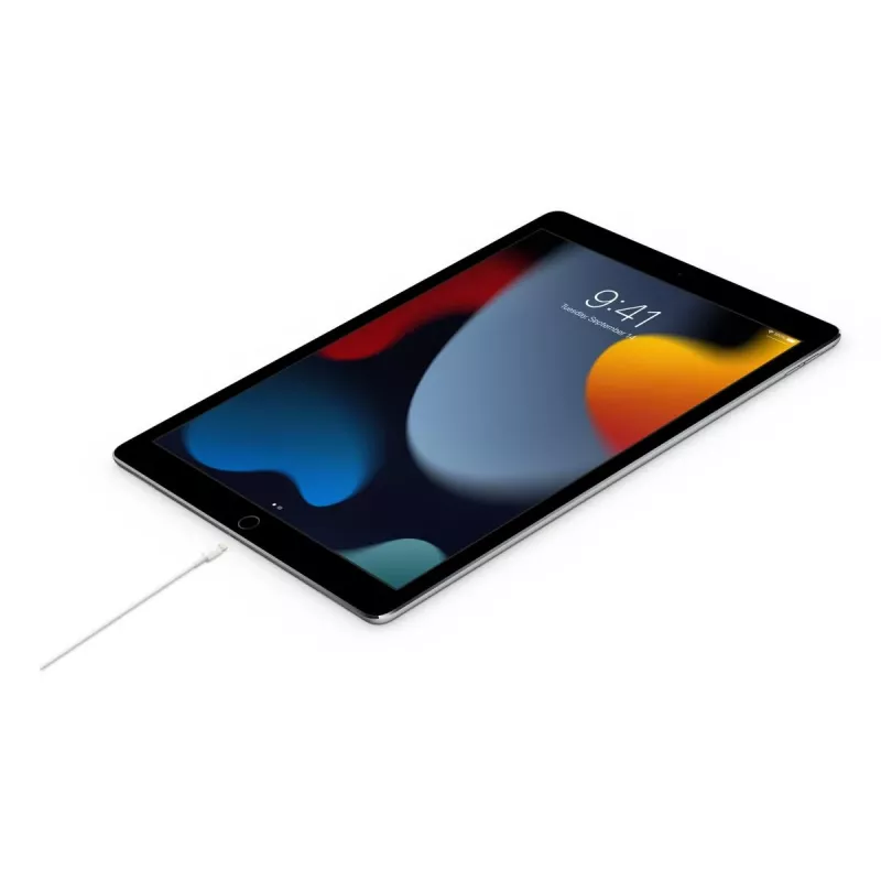 APPLE USB-c uz Lightning kabelis 2 M