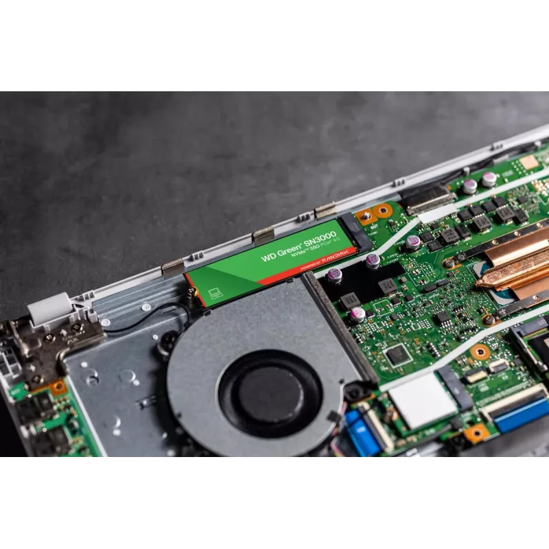 WESTERN DIGITAL SSD - WD zaļa SN3000 NVMe - 500 GB - Pci-e Gen4 x4 - M.2 2280