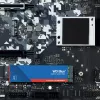 WESTERN DIGITAL SSD - WD Zils SA510 - 1TB - SATA 6Gb/s - M.2 2280
