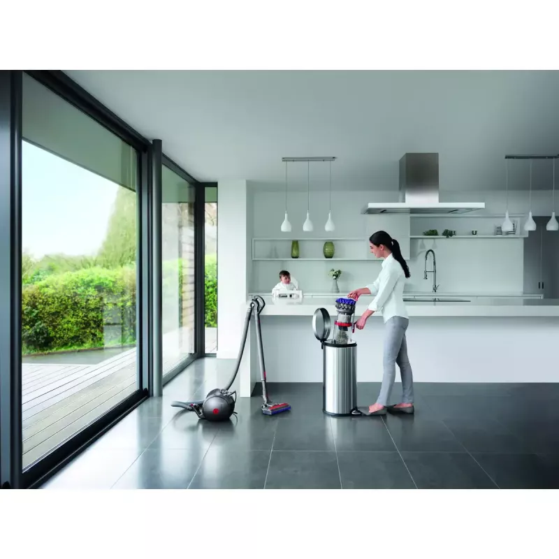 Cilindriskais putekļsūcējs Dyson Big ball Parquet 2
