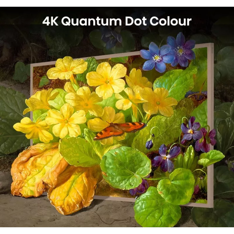 Hisense 55 collu S7NQTUK Canvas TV ar Freely un ArtMode