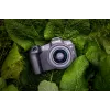 Canon EOS R8, 24,2 MP, 6000 x 4000 pikseļi, CMOS, 4K Ultra HD, skārienjūtīgs, melns