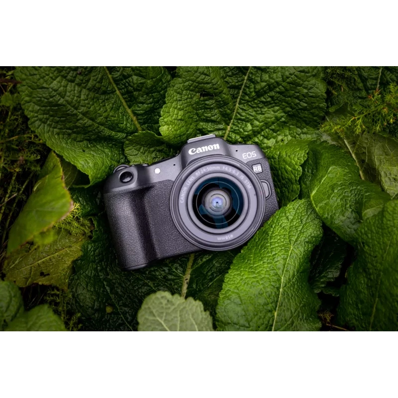 Canon EOS R8, 24,2 MP, 6000 x 4000 pikseļi, CMOS, 4K Ultra HD, skārienjūtīgs, melns