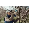 Bosch Pro Pruner Professional bezvada zāles šķēres 2,5 cm 12 V litija jonu (Li-Ion) zila