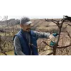 Bosch Pro Pruner Professional bezvada zāles šķēres 2,5 cm 12 V litija jonu (Li-Ion) zila