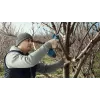 Bosch Pro Pruner Professional bezvada zāles šķēres 2,5 cm 12 V litija jonu (Li-Ion) zila