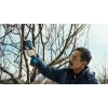 Bosch Pro Pruner Professional bezvada zāles šķēres 2,5 cm 12 V litija jonu (Li-Ion) zila