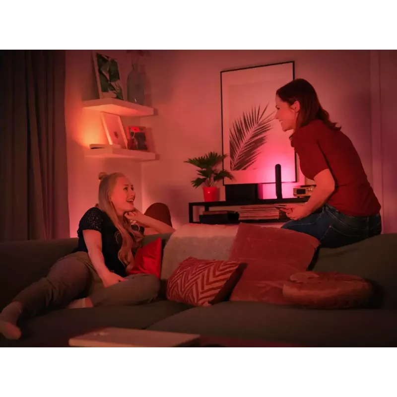 Philips Hue White and colour ambience Play light bar double pack
