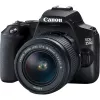 Canon EOS 250D + EF-S 18-55mm f/3.5-5.6 III SLR kameras komplekts 24,1 MP CMOS 6000 x 4000 pikseļi Melns