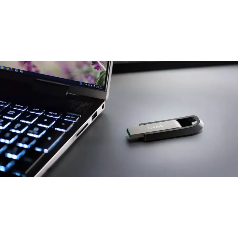 WESTERN DIGITAL SanDisk Ultra Extreme GO - 256 GB USB zibatmiņa - USB 3.2