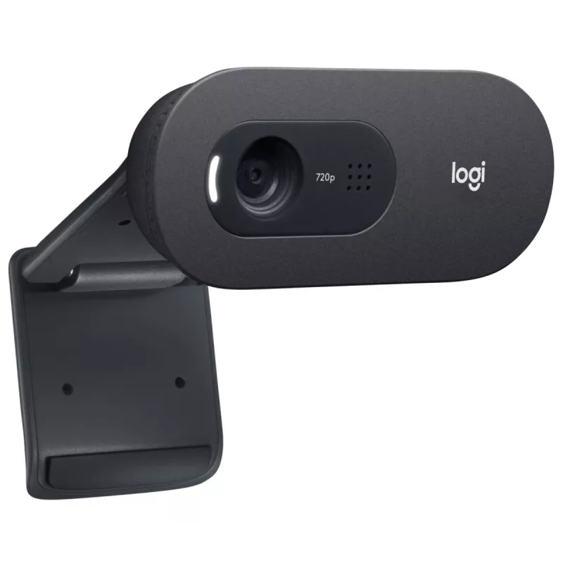 LOGITECH C505e Webcam USB Melns