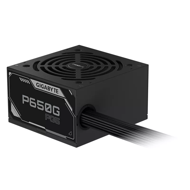 GIGABYTE P650G PCIE 5.1 barošanas bloks - PCIe 5.1, 80 PLUS Sudraba, 120mm ventilators, ATX 3.1 saderīgs, EU kontaktdakša