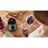 Bosch VitaPower MMB2111S blenderis 0,6 l galda blenderis 450 W sudraba