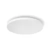 Philips Hue White and colour ambience Datura griestu lampa Lielā