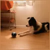 Uzraudzības robots Enabot EBO AIR 2 — mobilā mājas kamera, rozā