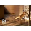 Novērošanas kamera Enabot Family Robot IP Camera ROLA PetPal WH287304