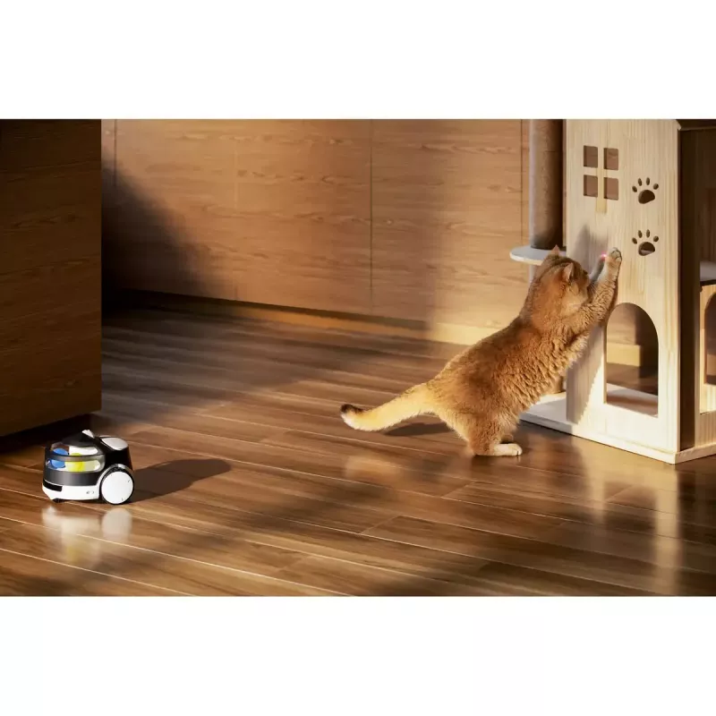 Novērošanas kamera Enabot Family Robot IP Camera ROLA PetPal WH287304